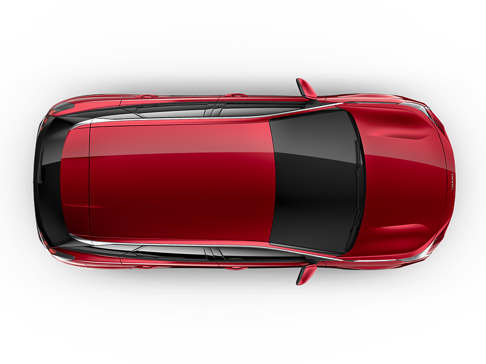 rojo